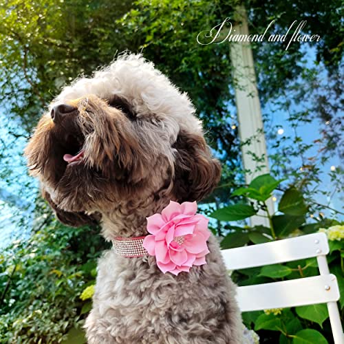 PET ARTIST Animal Collar in XS:Neck 7.5-10"(3-7 lbs), Pink Set