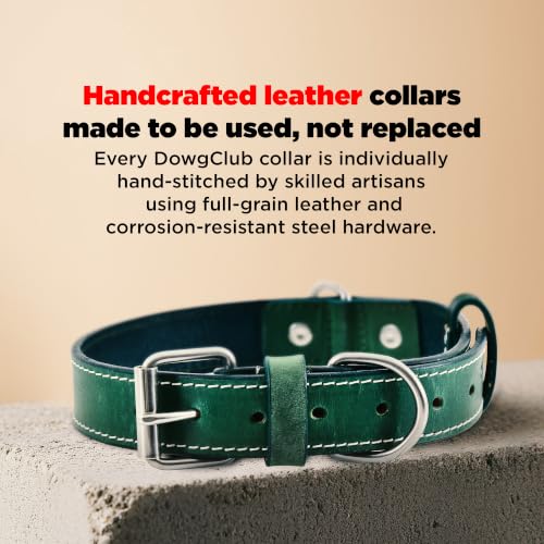 DowgClub Animal Collar in S (11"-14"), Green