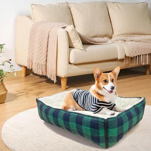 LIFFY Pet Bed Mat in Blue-green