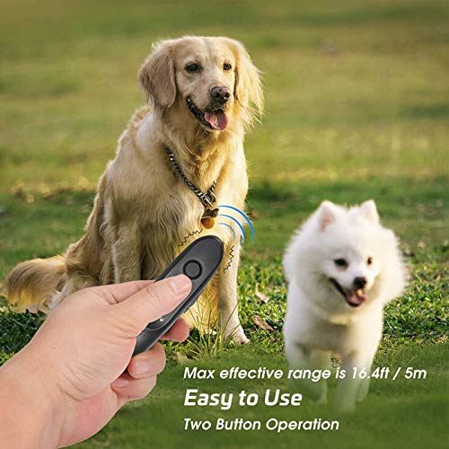 POIIOPY Pet Supplies
