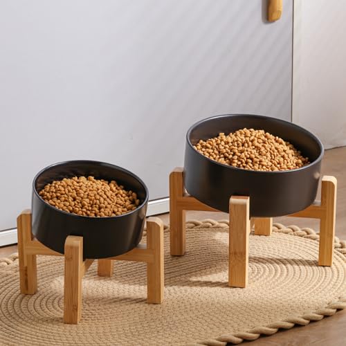 DJJJOOYS Pet Feeder in Slanted Small Dog Bowl, Black