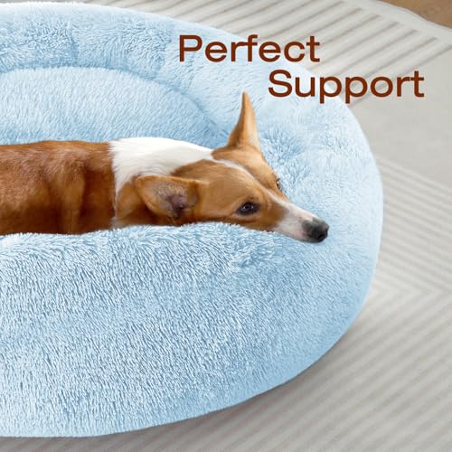 JOLLYVOGUE Pet Bed Mat in 20", Light Blue