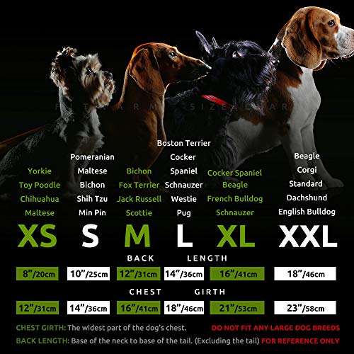 Fitwarm Pet Apparel in X-Small, DarkCyan