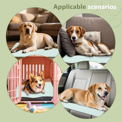 SOMOYA Pet Bed Mat in Medium (29.5x18.8 IN), Green