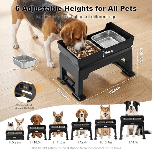 ZOMISIA Pet Feeder in 1.6L, Black