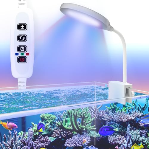 Teddykala Lamp in Round+BlueRed+Timer+Dimmer+10 Gal, White