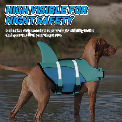Doglay Pet Apparel in Small, Turquoise & Blue