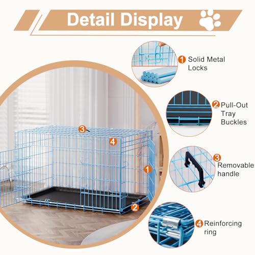 FDW Animal Cage in 42.0"L x 26.0"W x 28.0"H, Blue