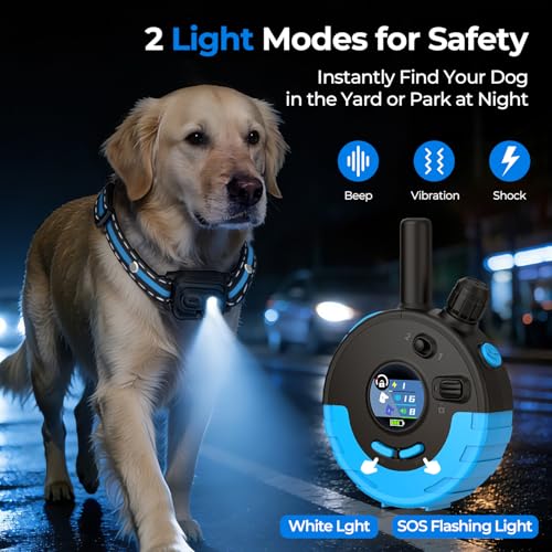 RPZ Animal Collar in 1 Receiver, Blue