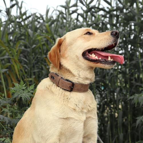Didog Animal Collar in L: Fit Neck 14-18"(22-44 lbs), Brown