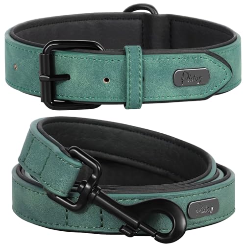 Didog Animal Collar in M: Fit Neck 11-14"(10-20 lbs), Green Set