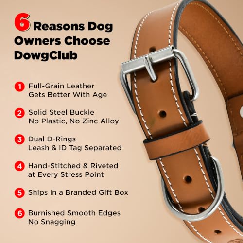 DowgClub Animal Collar in S (11"-14"), Tan