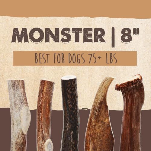 Mighty Paw Pet Toy in 1 Whole Monster, White