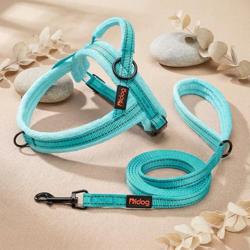Didog Leash in 5/8''x 6 FT, Teal