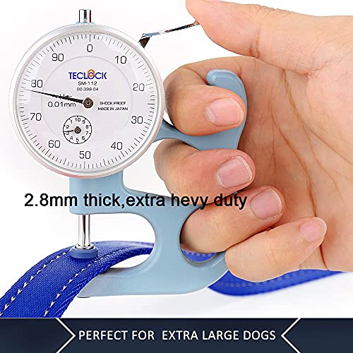 PLUTUS PET Leash in 4 FT, Navy Blue