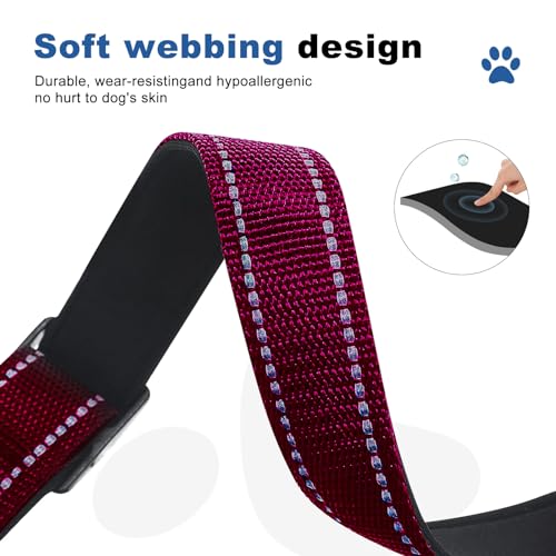 GDLKPS Animal Collar in XS:3/4" Wide for 11.5"-13.5" Neck, Crimson