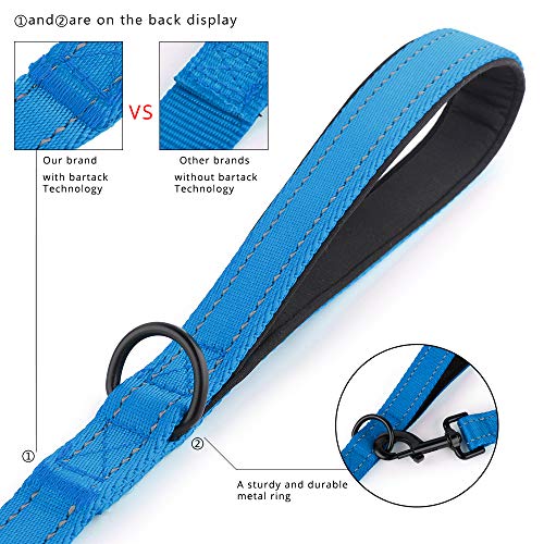 PLUTUS PET Leash in 4 FT, Blue