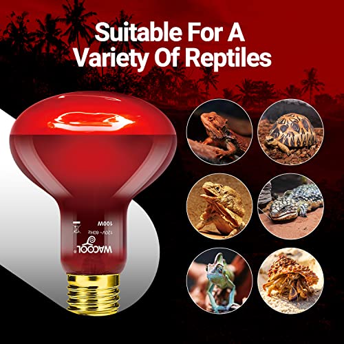 WACOOL TERRA Light Bulb in 100W, Daylight White