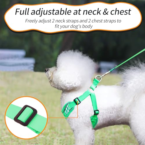 SAEGYPET Animal Harness in XS, Green (denim)