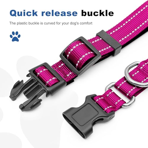 GDLKPS Animal Collar in XS:3/4" Wide for 11.5"-13.5" Neck, Rose Red