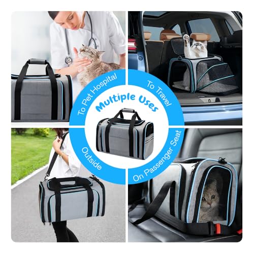 Srinlon ㅤ Animal Carrier in 18.0"L x 11.0"W x 11.0"H, Blue