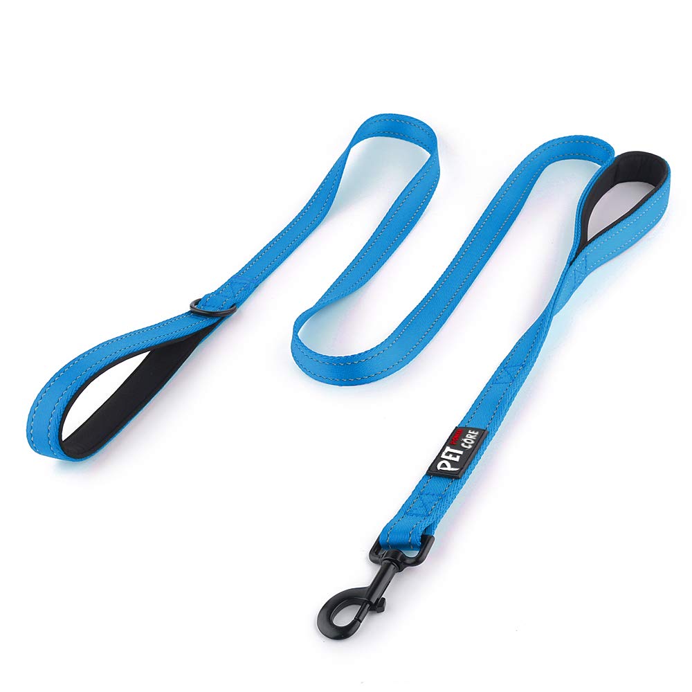 PLUTUS PET Leash in 4 FT, Blue