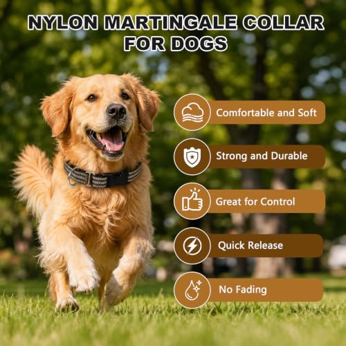 Hikiko Animal Collar in Small, Brown