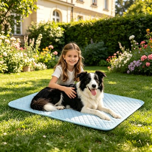 SOMOYA Pet Bed Mat in Large, Blue