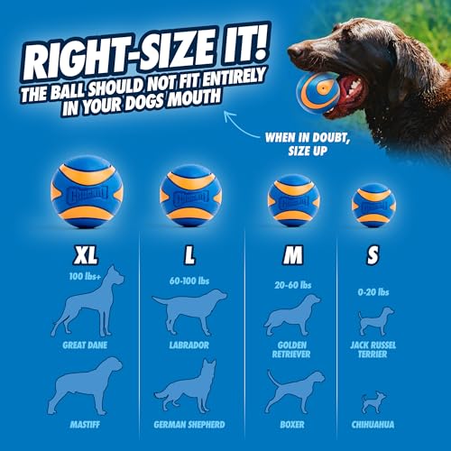 Chuckit! Pet Toy in Medium, Squeaker