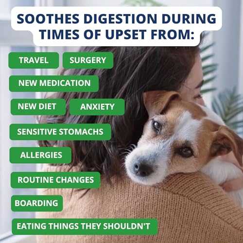 Under the Weather Pet Food in 6 Ounce (Pack of 1)