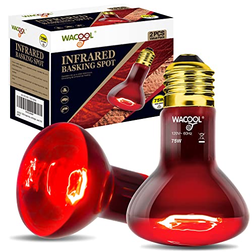 WACOOL TERRA Light Bulb in 75W, Daylight White