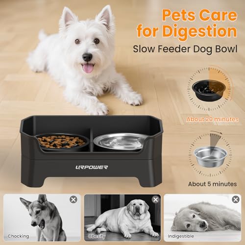 URPOWER Pet Feeder in Large, Matte Black
