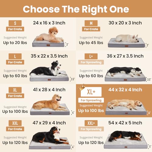 OhGeni Pet Bed Mat in 44" x 32" x 4" (For Sprawling), 01-Gray