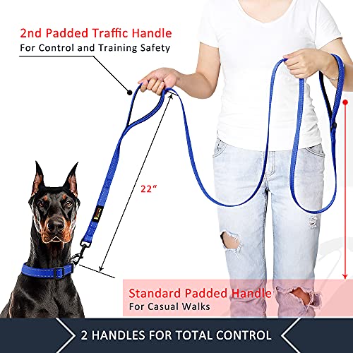PLUTUS PET Leash in 4 FT, Navy Blue