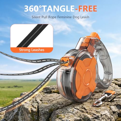 XlyCrtve Leash in 13 Feet, Orange