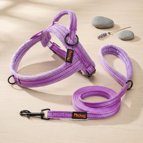 Didog Leash in 5/8''x 6 FT, Purple