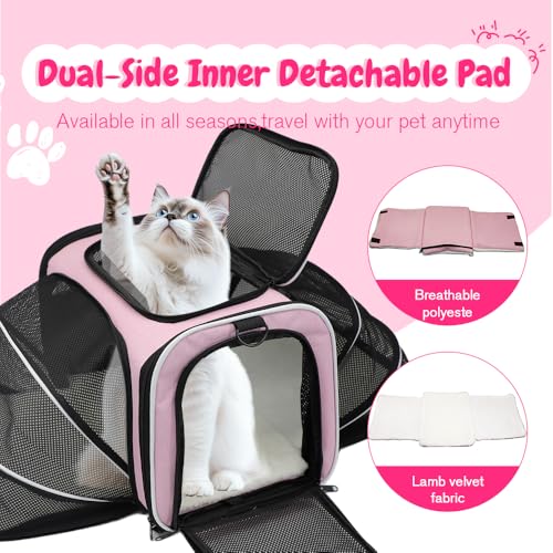 Srinlon ㅤ Animal Carrier in 18.0"L x 11.0"W x 11.0"H, Pink