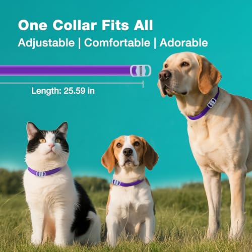 ZingZap Pet Pest Control in Purple