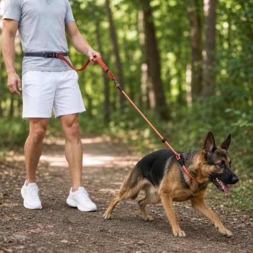 kazazoo Leash in 5.5ft to 8.5ft, Gradient Orange