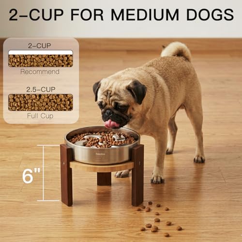 Feedoo Pet Feeder in 6'' Height Stand, 6" Height 2Cups Slow Feeder