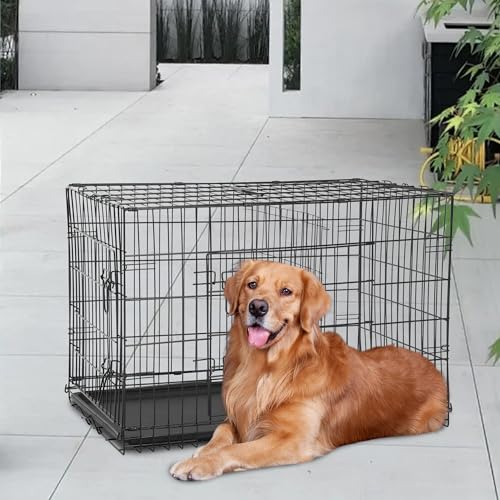 FDW Animal Cage in 48 Inch, Black