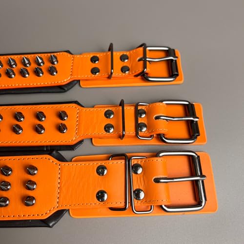Molteriqo Animal Collar in M-neck 33-41cm, Orange