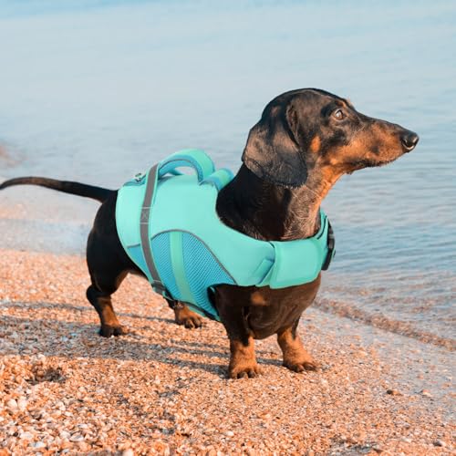 Queenmore Pet Apparel in X-Small, LightBlue