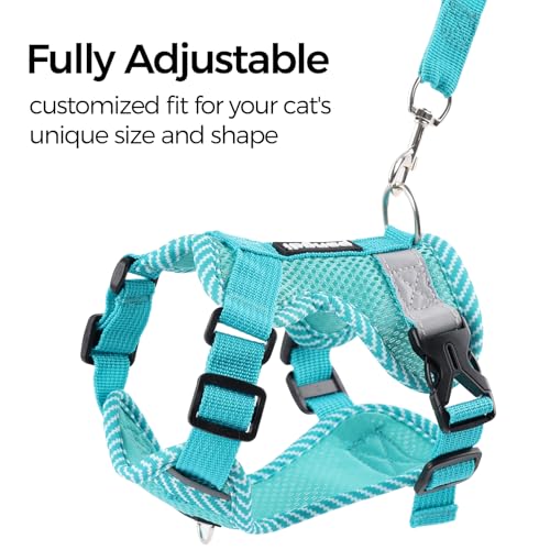pangdi Pet Supplies in Small, Turquoise