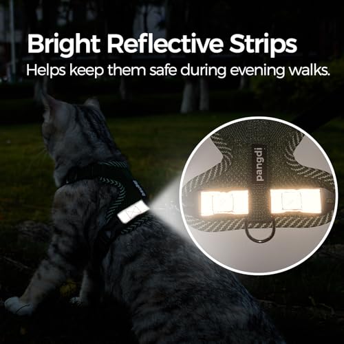 pangdi Pet Supplies in Small, Dark Green