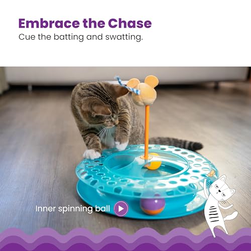 Catstages Pet Toy in One-Size, Cheese Chase