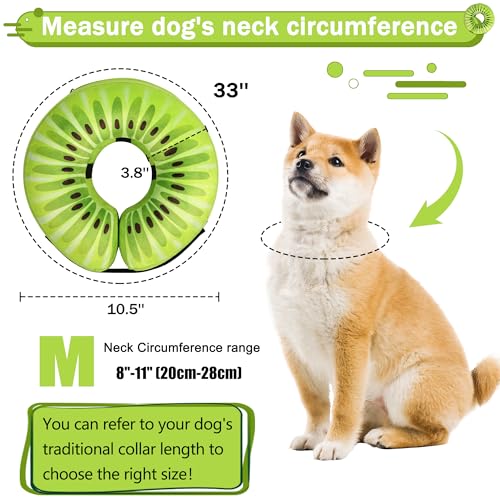 Cneo Animal Recovery Collar Cone in M+（neck 11"-14"）, Kiwi