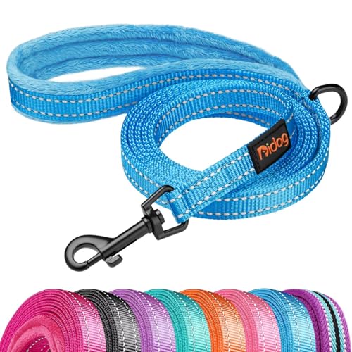 Didog Leash in 5/8''x 6 FT, Blue