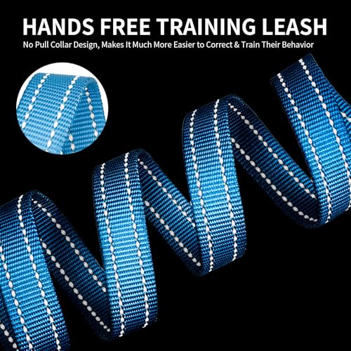 kazazoo Leash in Adjustable (5.5ft to 8.5ft), Light Blue