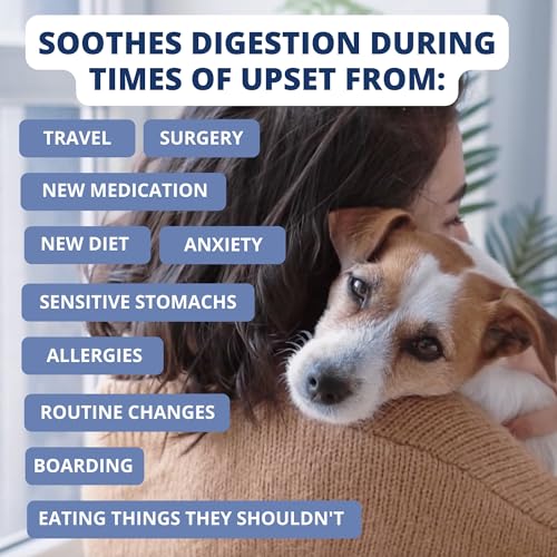 Under the Weather Pet Food in 6 Ounce (Pack of 1)